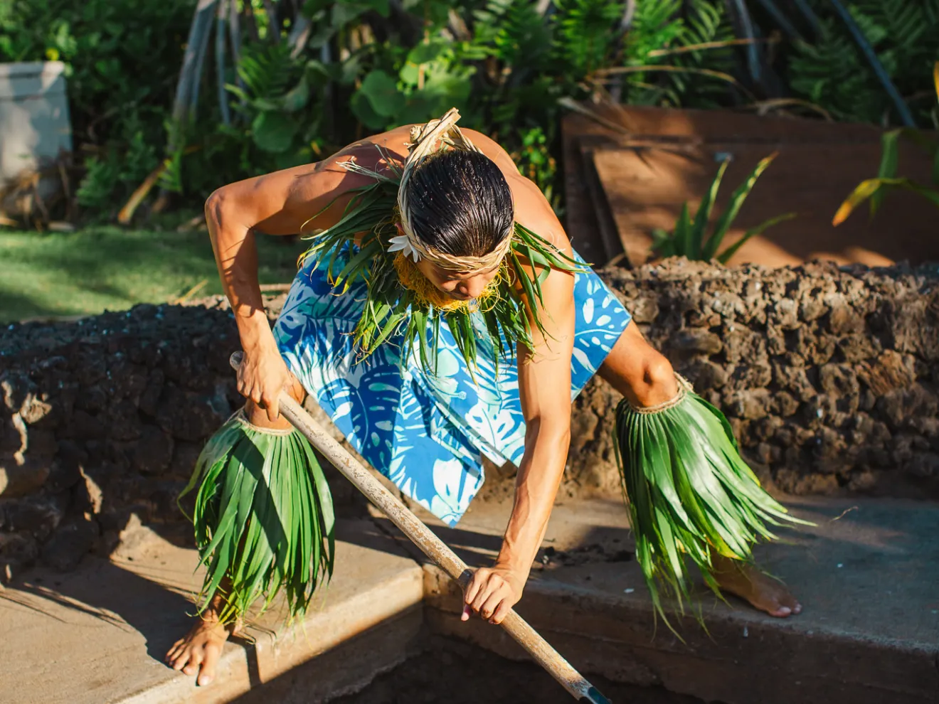 a person sitting on top of a green plant